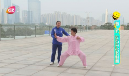 太极拳八段锦教学视频,养生功法入门指南