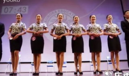 礼仪视频,解锁优雅社交之道