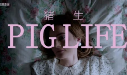 男女交性视频播放,揭秘男女私密视频背后的故事