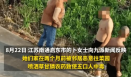 被草视频,被草视频背后的现象与反思