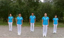 健美操舞蹈视频,跟随健美操舞蹈视频，体验活力四射的健身之旅