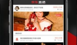 京东视频,揭秘电商直播新趋势，带你领略购物新体验