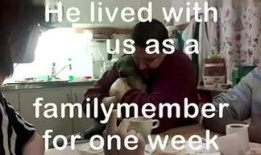 做爱完整视频,揭秘做爱完整视频背后的故事