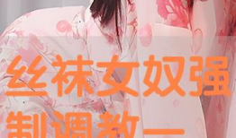 丝袜调教视频,揭秘神秘诱惑背后的秘密