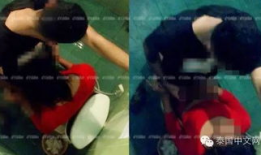 xx视频,揭秘XX领域的精彩瞬间