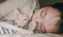 无毛视频,揭秘毛发脱落背后的科学奥秘