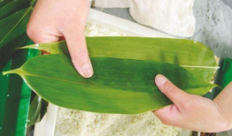 学包粽子视频,传统技艺与现代生活的完美融合