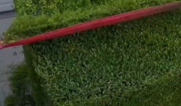 修剪视频,一瞥精彩片段背后的故事