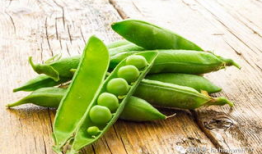 豌豆视频,短视频时代的潮流风向标